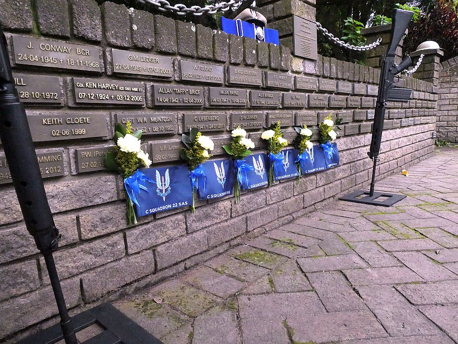 plaque service